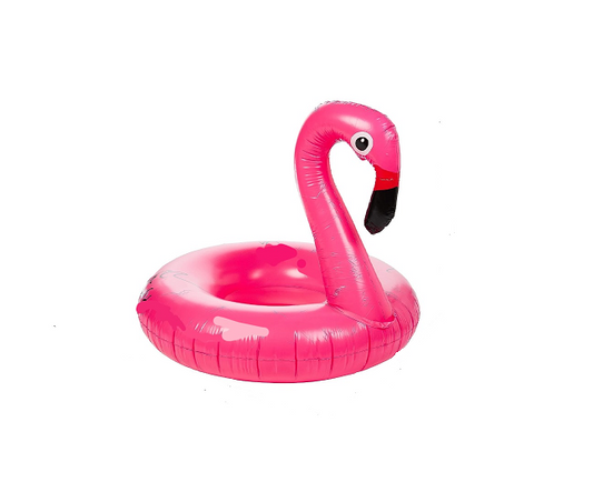 Swimming Swan For Kids